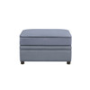 ACME 53307 Bois II Storage Ottoman, Gray Velvet