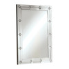 ACME 97390 Hessa Accent Mirror (Wall), Mirrored