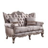 ACME 54866 Jayceon Loveseat with 2 Pillows, Fabric & Champagne