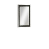 ACME Noor Accent Mirror (Wall), Mirrored