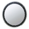 ACME 97392 Noor Accent Mirror (Wall), Mirrored