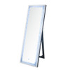 ACME 97713 Noralie Floor Mirror with LED, Mirrored & Faux Diamonds