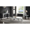 ACME 84675 Nowles Coffee Table, Mirrored & Faux Stones
