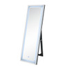 ACME 97714 Nyoka Floor Mirror with LED, Mirrored