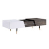 ACME 84680 Orion Coffee Table, White High Gloss & Rustic Oak