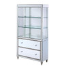 ACME Persis Bookcase, LED & Mirrored