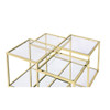 ACME 83470 Uchenna Coffee Table, Clear Glass & Gold Finish