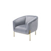 ACME 59790 Carlson Accent Chair, Gray Velvet & Gold