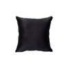 ACME 56996 Heibero Loveseat with 2 Pillows, Black Velvet