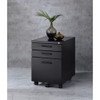 ACME 92880 Peden File Cabinet, Black