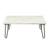 ACME Telestis Coffee Table, White Marble & Black