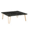 ACME 84505 Telestis Coffee Table, Black Marble & Gold