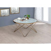 ACME 81825 Valora Coffee Table, Champagne & Frosted Glass