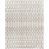 Surya TZS-2329 Taza shag Rug