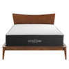 Modway MOD-6604-WHI Aveline 14" Memory Foam Queen Mattress