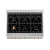 ZLINE Autograph Edition 36" Porcelain Rangetop with 6 Gas Burners in DuraSnow Stainless Steel and Gold Accents RTSZ-36-G