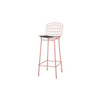 Manhattan Comfort 2-198AMC5 Madeline 41.73"  Barstool, Set of 2 with Seat Cushion in Rose Pink Gold and Black