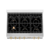 ZLINE Autograph Edition 36" Porcelain Rangetop with 6 Gas Burners in Stainless Steel and Gold Accents (RTZ-36-G)