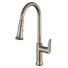 Daweier Single-lever Pull-out Kitchen Faucet, Brushed Nickel EK7557213BN
