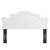 Modway MOD-6571 Evangeline Performance Velvet Twin Headboard