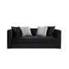 ACME 55666 Fergal Loveseat