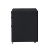 ACME 92450 Coleen Cabinet