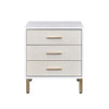 ACME AC00843 Myles Silve Nightstand