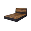 ACME BD00545Q Eos Queen Bed