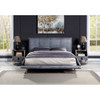 ACME BD00559Q Metis Gray Queen Bed