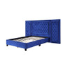 ACME BD00973Q Damazy Blue Queen Bed