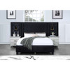 ACME BD00975Q Damazy Black Queen Bed