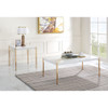 ACME LV00034 Otrac Coffee Table