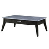 ACME LV00608 Zemocryss Coffee Table