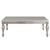 ACME LV01115 Pelumi Coffee Table