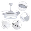 Compact Ceiling Fan And Lamp With Remote