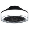 Homeroots Industrial Ceiling Fan and Light 475636