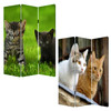 1 x 48 x 72 Multi Color Wood Canvas Curious Cat  Screen