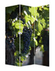 1" x 48" x 72" Multi Color Wood Canvas Wine Country  Screen