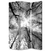 1" x 48" x 72" Multi Color Wood Canvas Forest  Screen