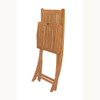 Anderson Tropico Folding Chair (sell & price per 2 chairs only) - CHF-104