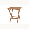 Anderson Windsor 24" Square Picnic Folding Table - TBF-024S