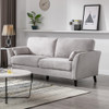 Lilola Home Damian Light Gray Velvet Fabric Sofa 89728LG-S