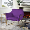 Lilola Home Keira Purple Velvet Accent Chair with Metal Base 88876PE