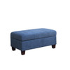 Lilola Home Diego Blue Fabric Sectional Sofa with Right Facing Chaise, Storage Ottoman, and 2 Accent Pillows 83002
