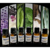 SteamSpa Essence of Coconut Aromatherapy Oil Extract Value Pack - G-OILCN3
