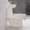 Avallon One-Piece Elongated Dual Flush-Toilet 1.1/1.6 gpf SM-1T122