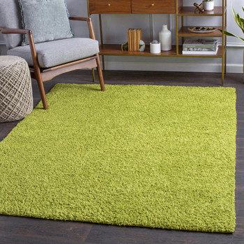 Surya Bliss shag BLI-2301 Rug Room Scene