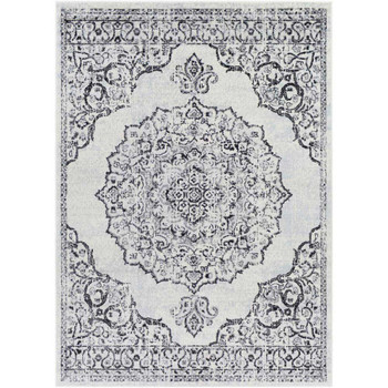 Surya Chester CHE-2377 Rug