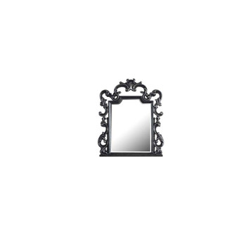 ACME House Delphine Mirror, Charcoal Finish