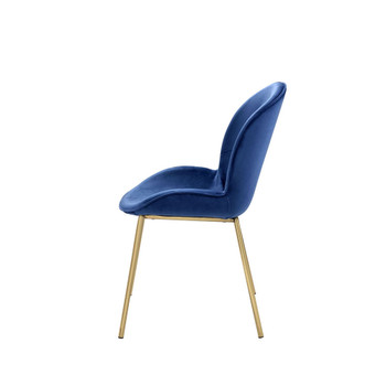 ACME 72947 Chuchip Side Chair (Set-2), Blue Velvet & Gold